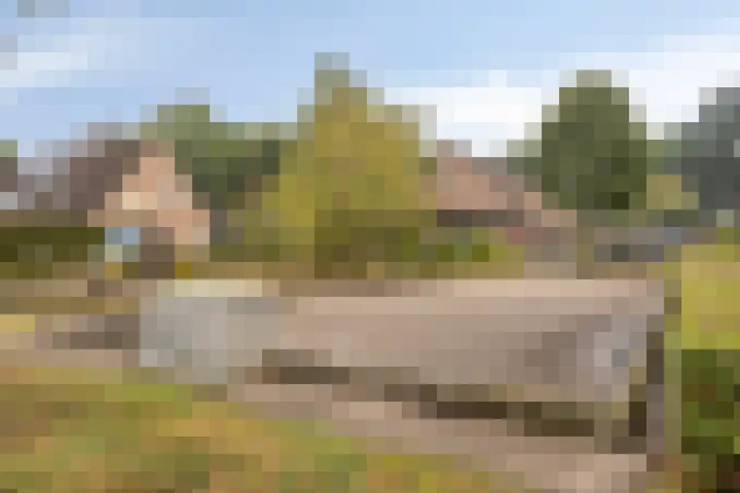 Bazuinstraat 4 Sint Hubert thumbnail 50