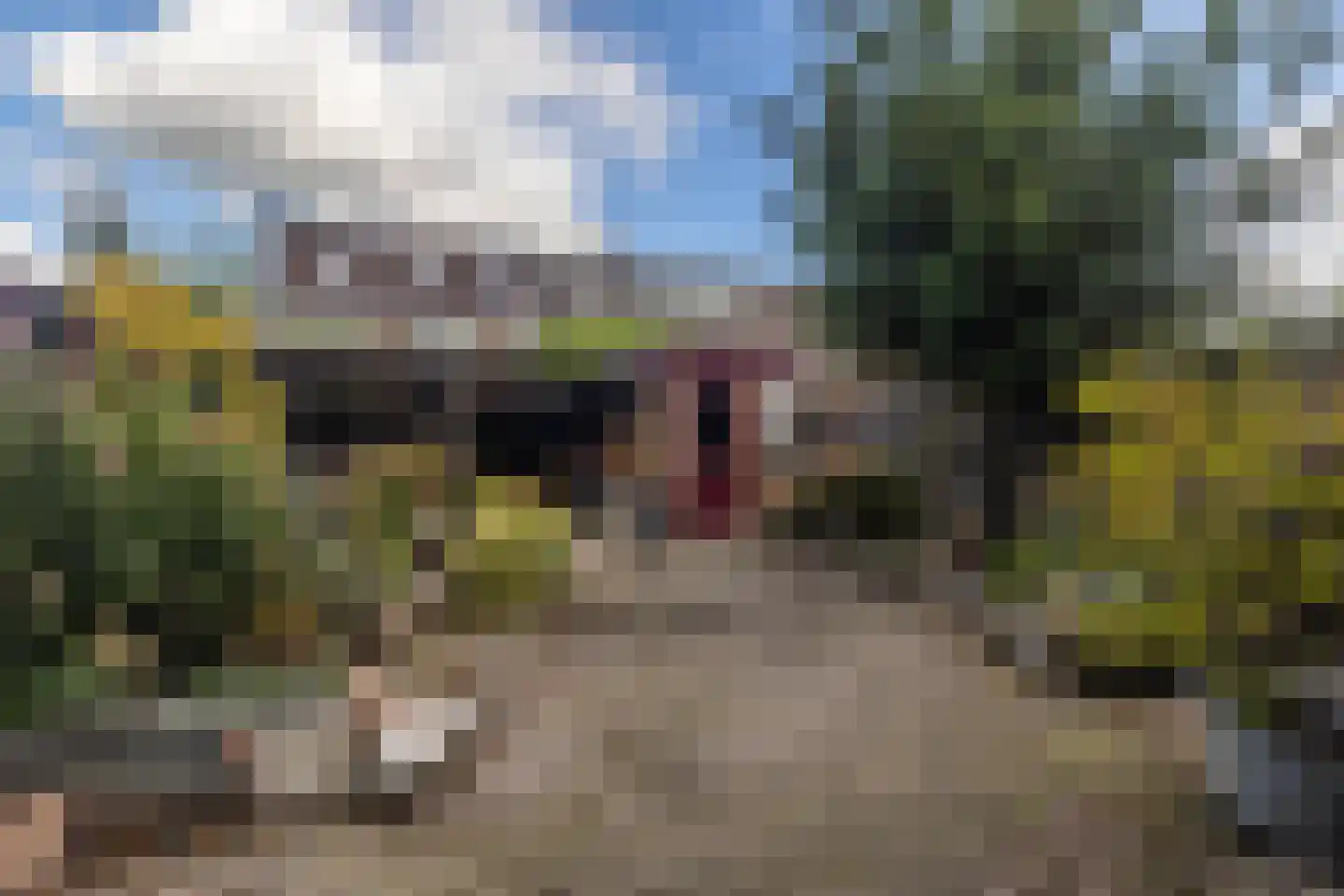Bazuinstraat 84 Purmerend thumbnail 16