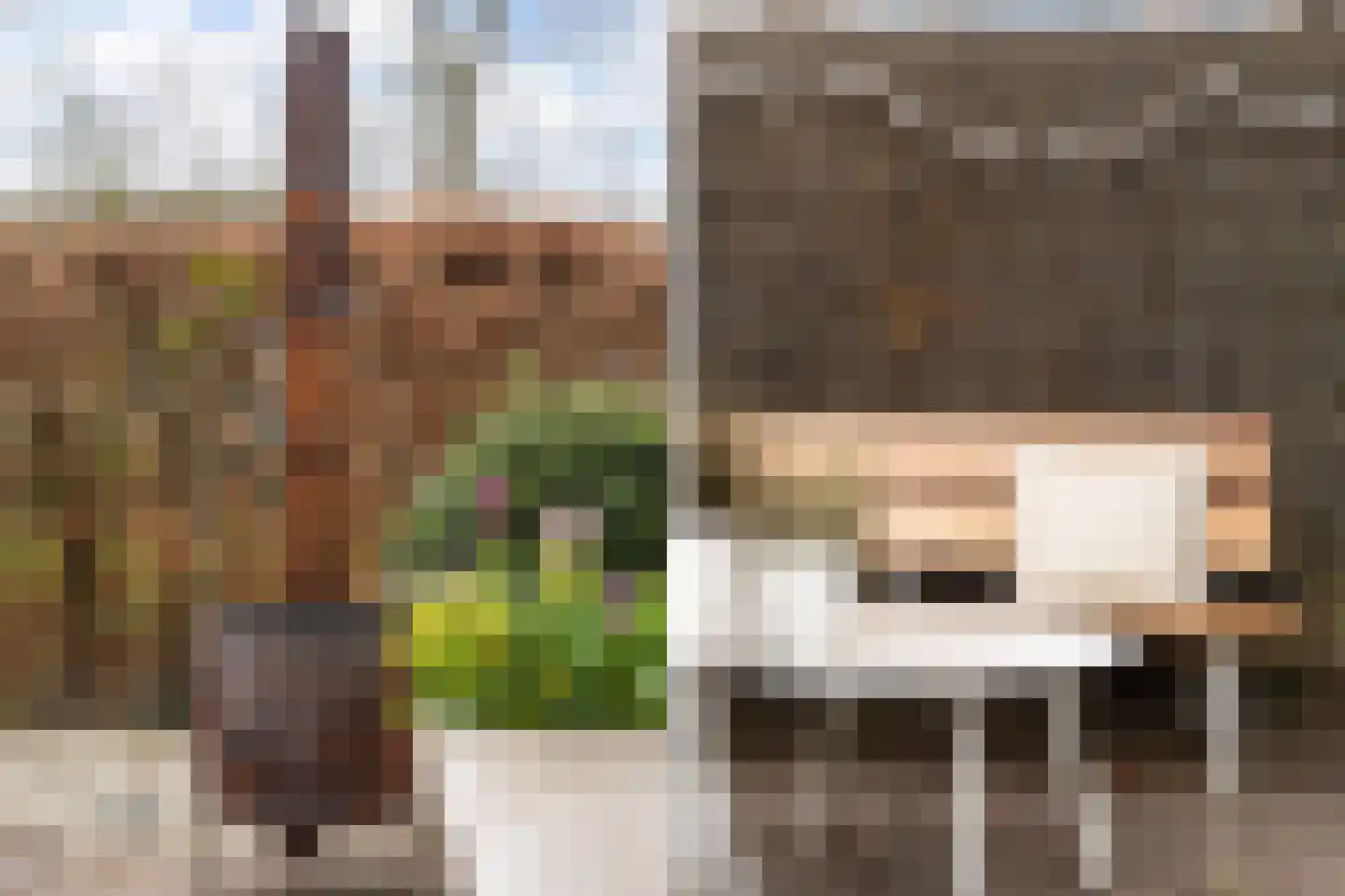 Bé van den Doolstraat 29 Deventer thumbnail 18