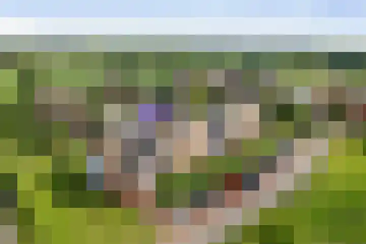 Bé van den Doolstraat 56 Deventer