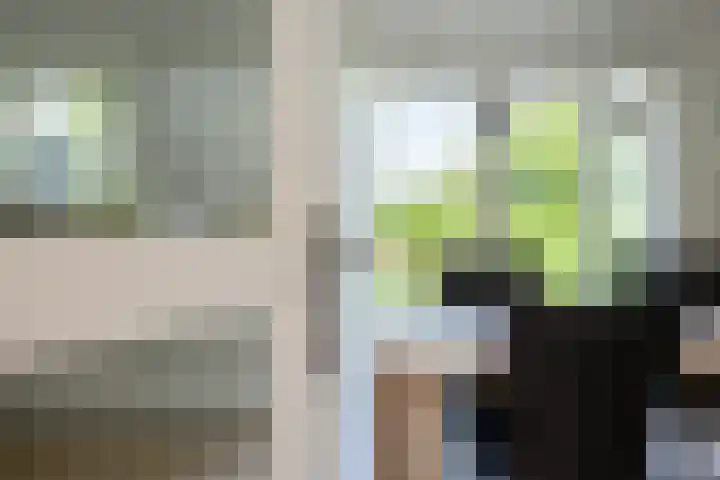 Bearend Boardseswyk 5 Drachtstercompagnie thumbnail 12