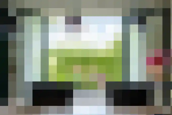 Bearend Boardseswyk 5 Drachtstercompagnie thumbnail 15