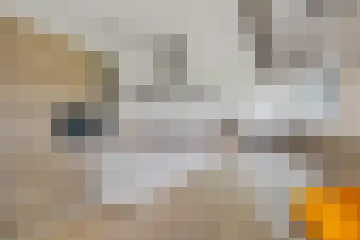 Bearend Boardseswyk 5 Drachtstercompagnie thumbnail 18