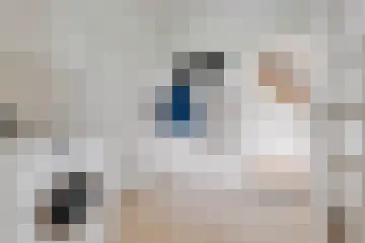Bearend Boardseswyk 5 Drachtstercompagnie thumbnail 22