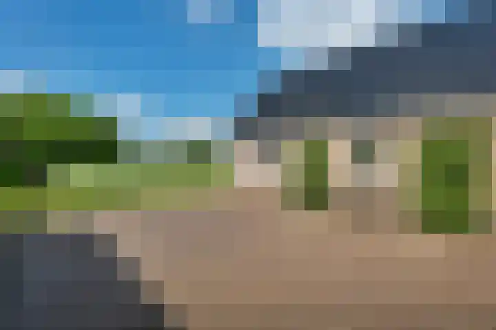 Bearend Boardseswyk 5 Drachtstercompagnie thumbnail 36