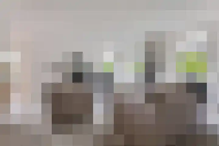 Bearend Boardseswyk 5 Drachtstercompagnie thumbnail 4