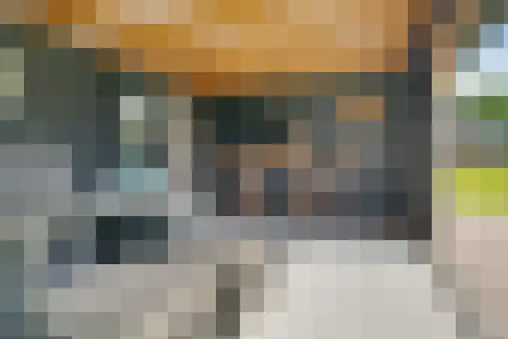Bearend Boardseswyk 5 Drachtstercompagnie thumbnail 43