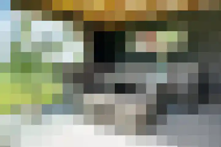 Bearend Boardseswyk 5 Drachtstercompagnie thumbnail 44