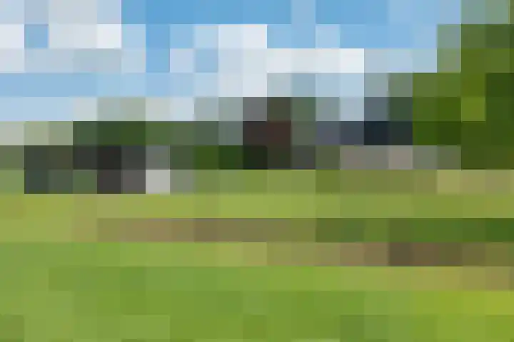 Bearend Boardseswyk 5 Drachtstercompagnie thumbnail 46