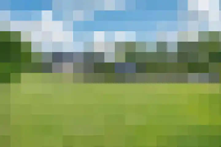 Bearend Boardseswyk 5 Drachtstercompagnie thumbnail 47