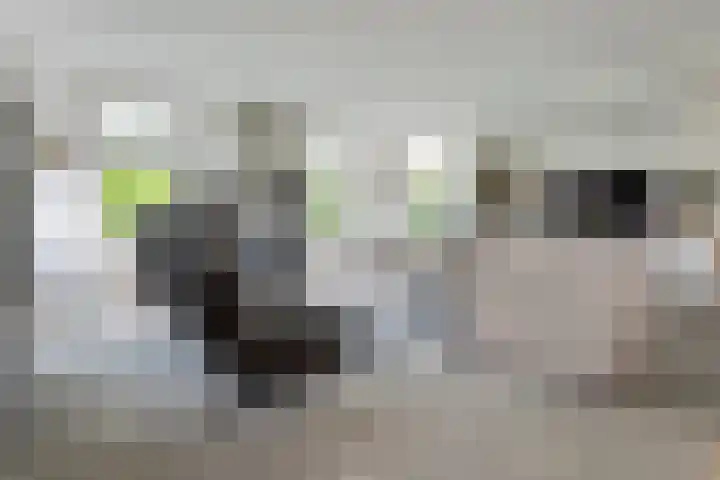 Bearend Boardseswyk 5 Drachtstercompagnie thumbnail 5