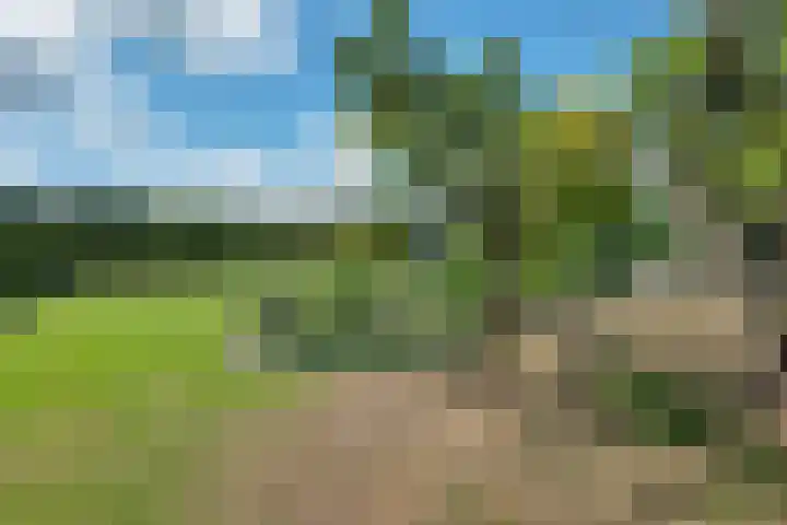 Bearend Boardseswyk 5 Drachtstercompagnie thumbnail 54