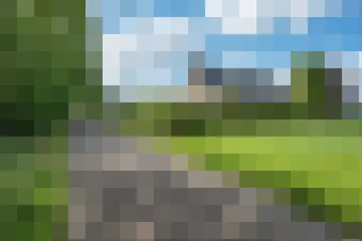 Bearend Boardseswyk 5 Drachtstercompagnie thumbnail 56