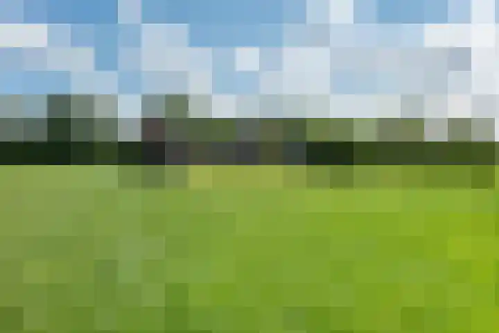 Bearend Boardseswyk 5 Drachtstercompagnie thumbnail 59