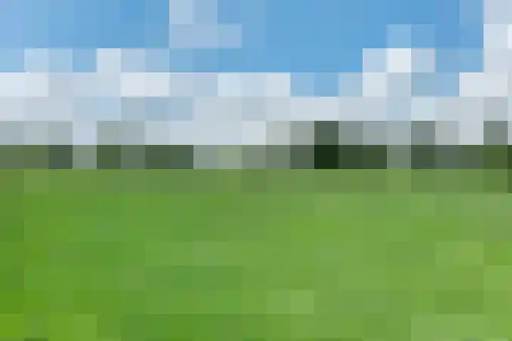 Bearend Boardseswyk 5 Drachtstercompagnie thumbnail 60