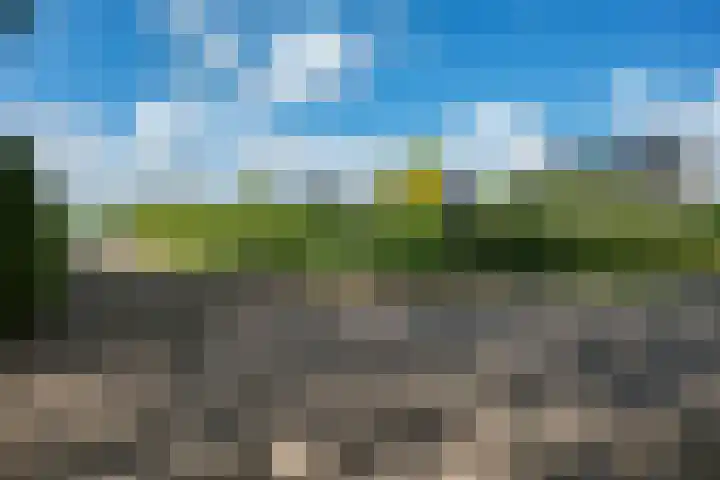Bearend Boardseswyk 5 Drachtstercompagnie thumbnail 61