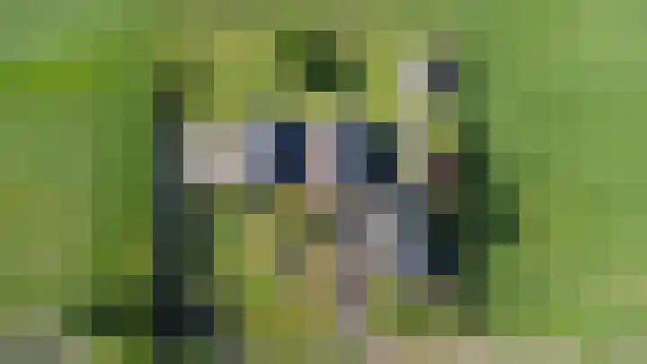Bearend Boardseswyk 5 Drachtstercompagnie thumbnail 62