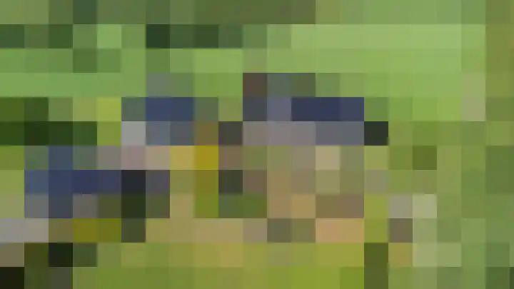 Bearend Boardseswyk 5 Drachtstercompagnie thumbnail 63