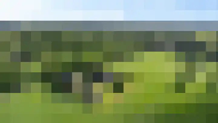 Bearend Boardseswyk 5 Drachtstercompagnie thumbnail 64