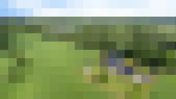 Bearend Boardseswyk 5 Drachtstercompagnie thumbnail 65