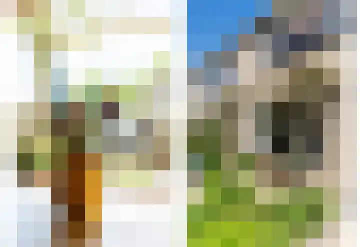 Beatrijspad 2 Amersfoort thumbnail 14