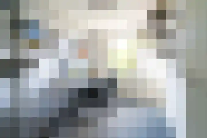 Beatrijspad 2 Amersfoort thumbnail 31