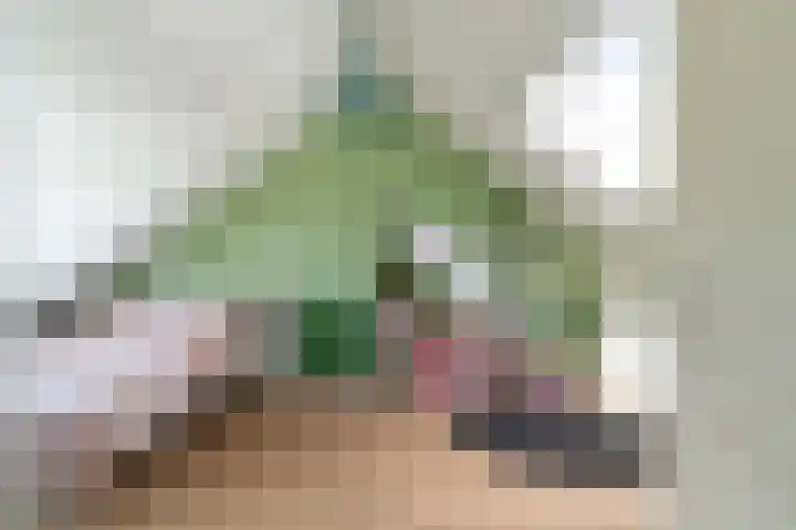 Beatrijspad 2 Amersfoort thumbnail 39