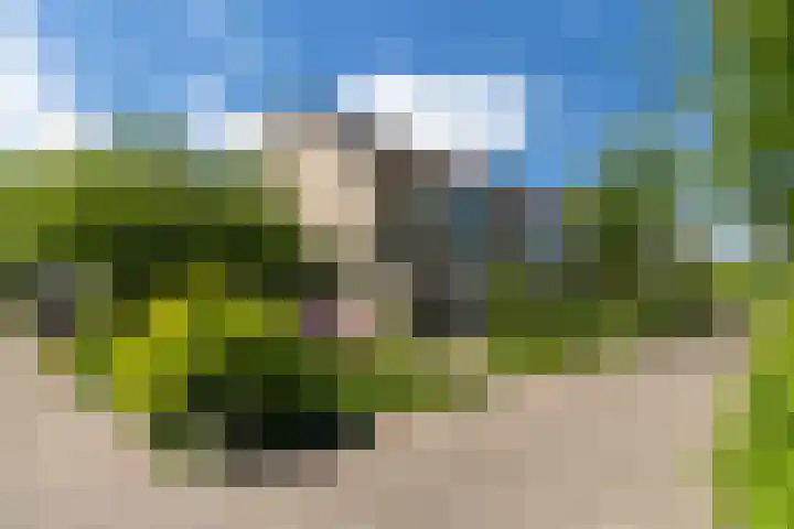 Beatrijspad 2 Amersfoort thumbnail 4