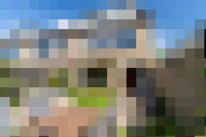 Beatrijspad 2 Amersfoort thumbnail 52