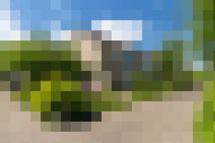 Beatrijspad 2 Amersfoort thumbnail 55