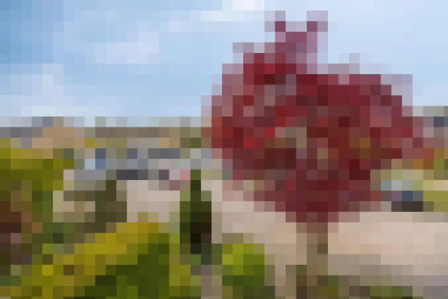 Beatrijspad 31 Amersfoort thumbnail 28