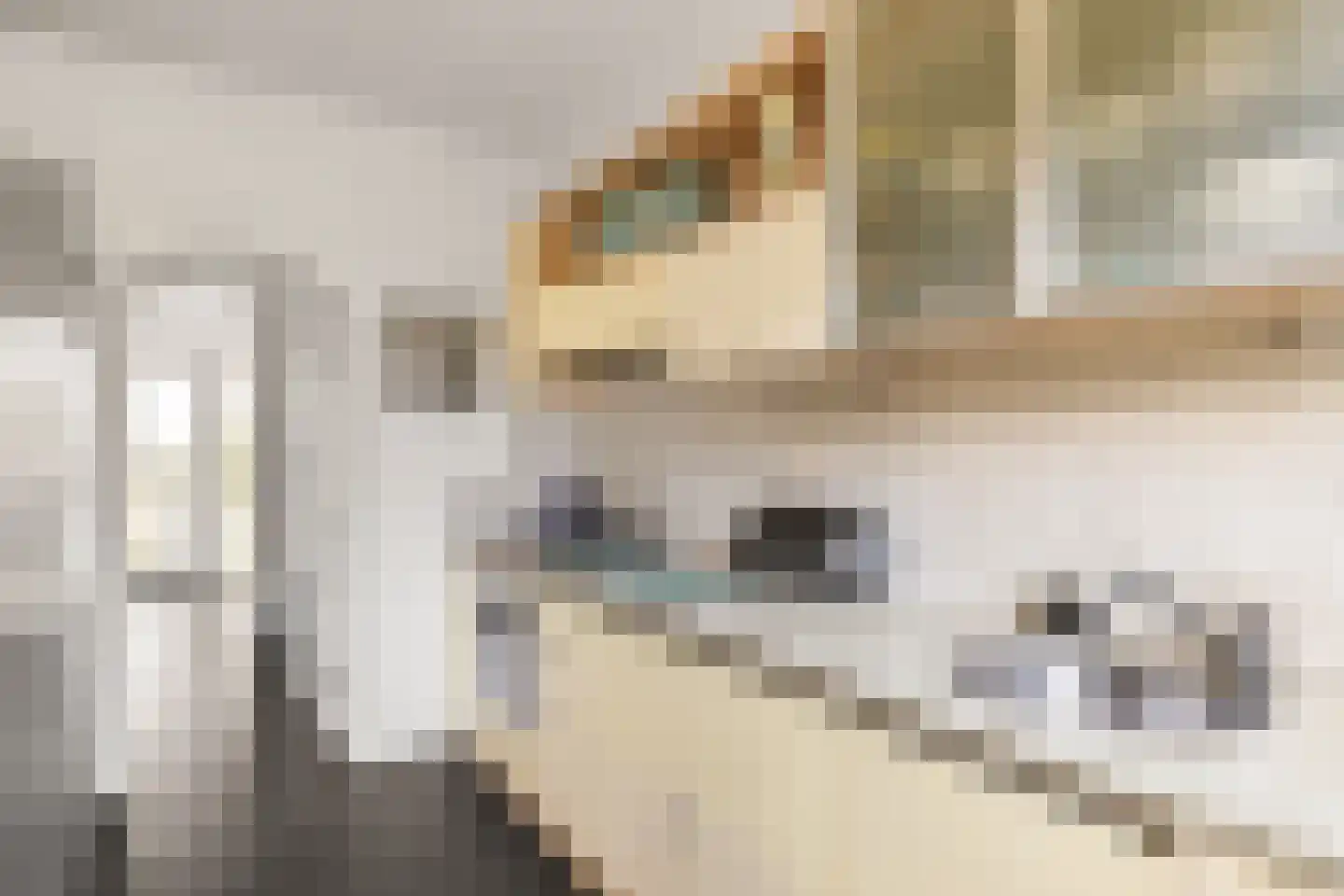 Beatrijspad 39 Amersfoort thumbnail 20