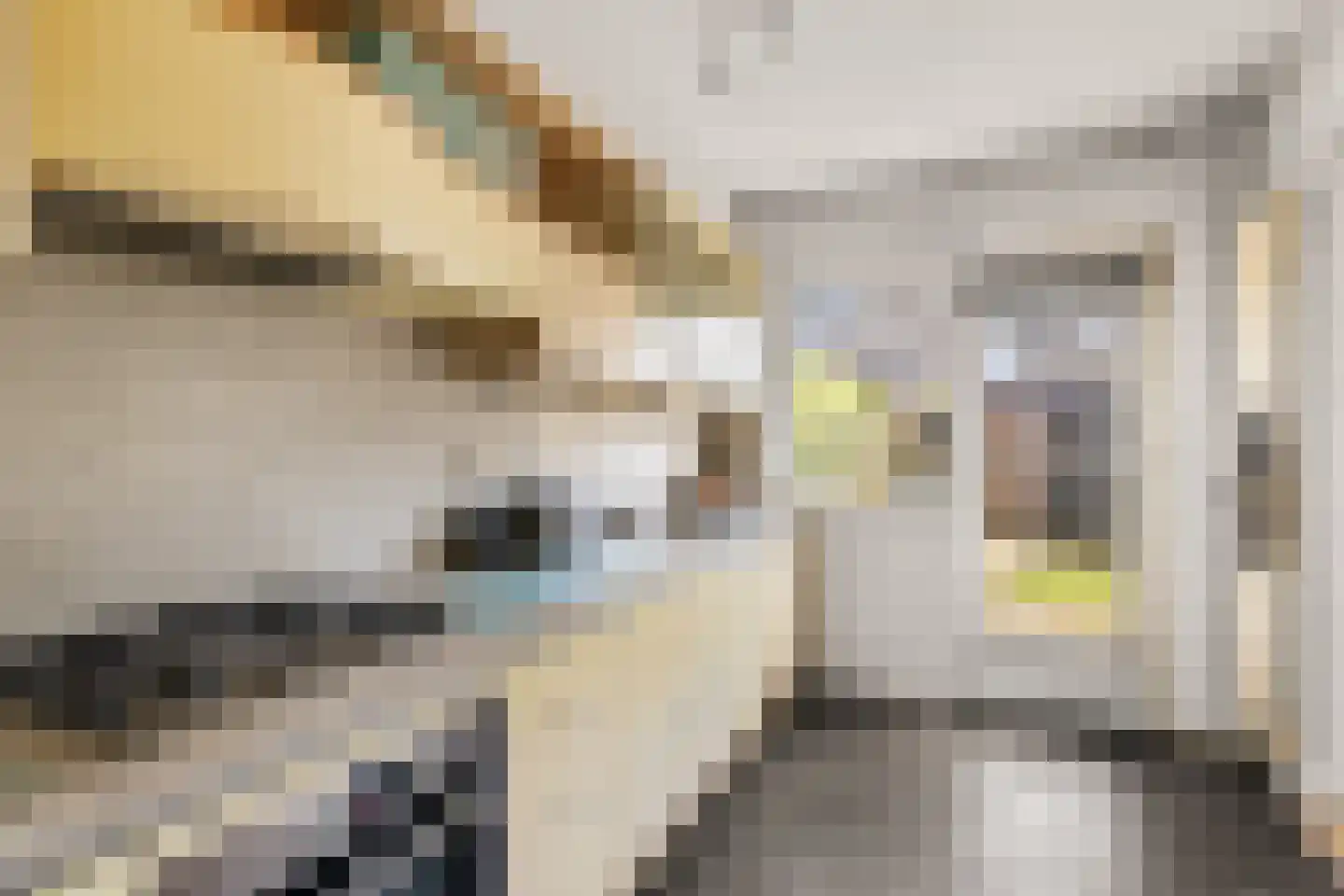 Beatrijspad 39 Amersfoort thumbnail 5