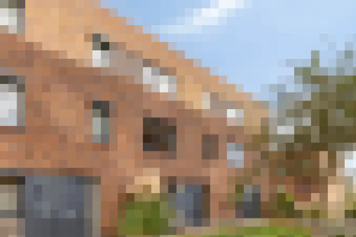 Beatrijspad 76 Zoetermeer thumbnail 30