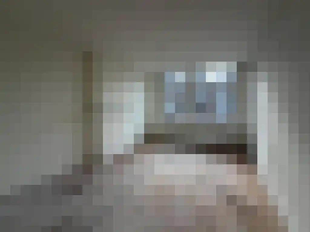 Beatrijsstraat 14 Rotterdam thumbnail 4