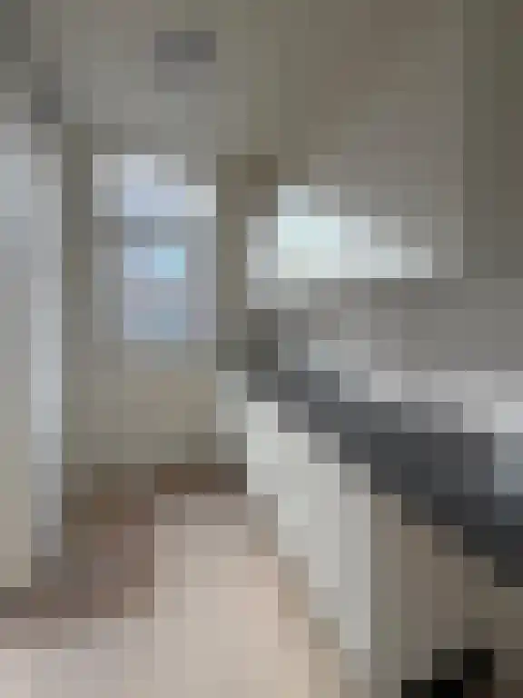 Beatrijsstraat 14 Rotterdam thumbnail 6