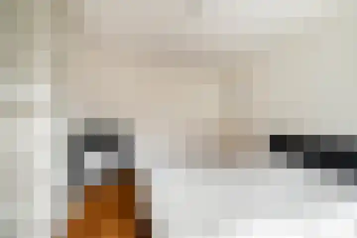 Beatrijsstraat 34 B Rotterdam thumbnail 32