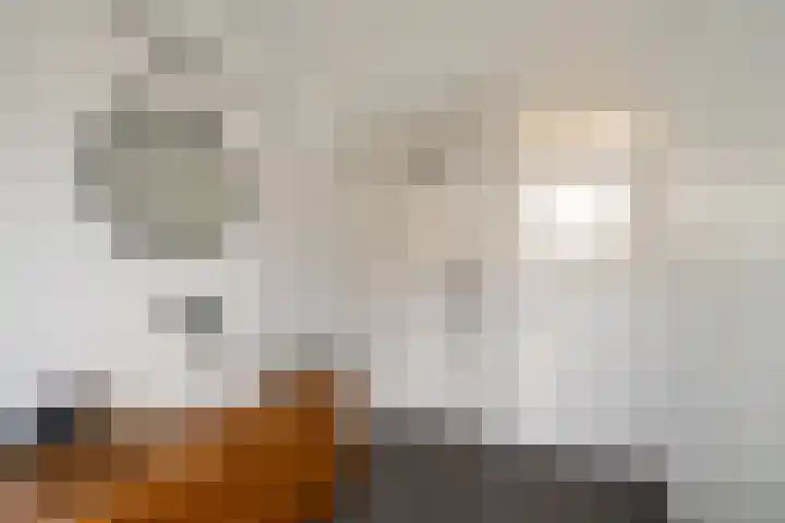 Beatrijsstraat 34 B Rotterdam thumbnail 33
