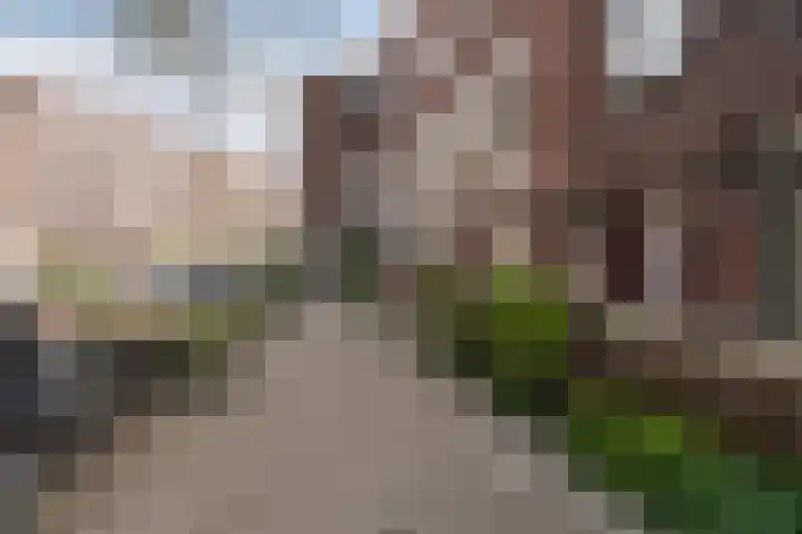 Beatrijsstraat 34 B Rotterdam thumbnail 47