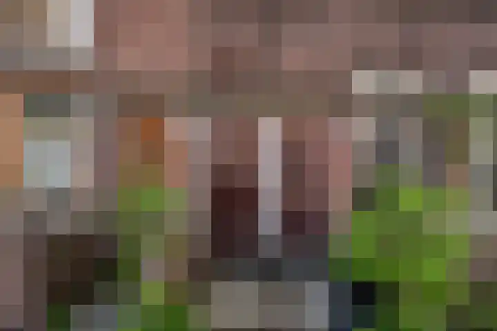 Beatrijsstraat 34 B Rotterdam thumbnail 48
