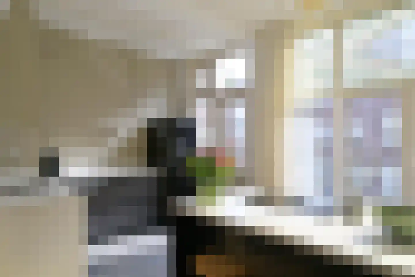 Beatrijsstraat 38 A Rotterdam thumbnail 7