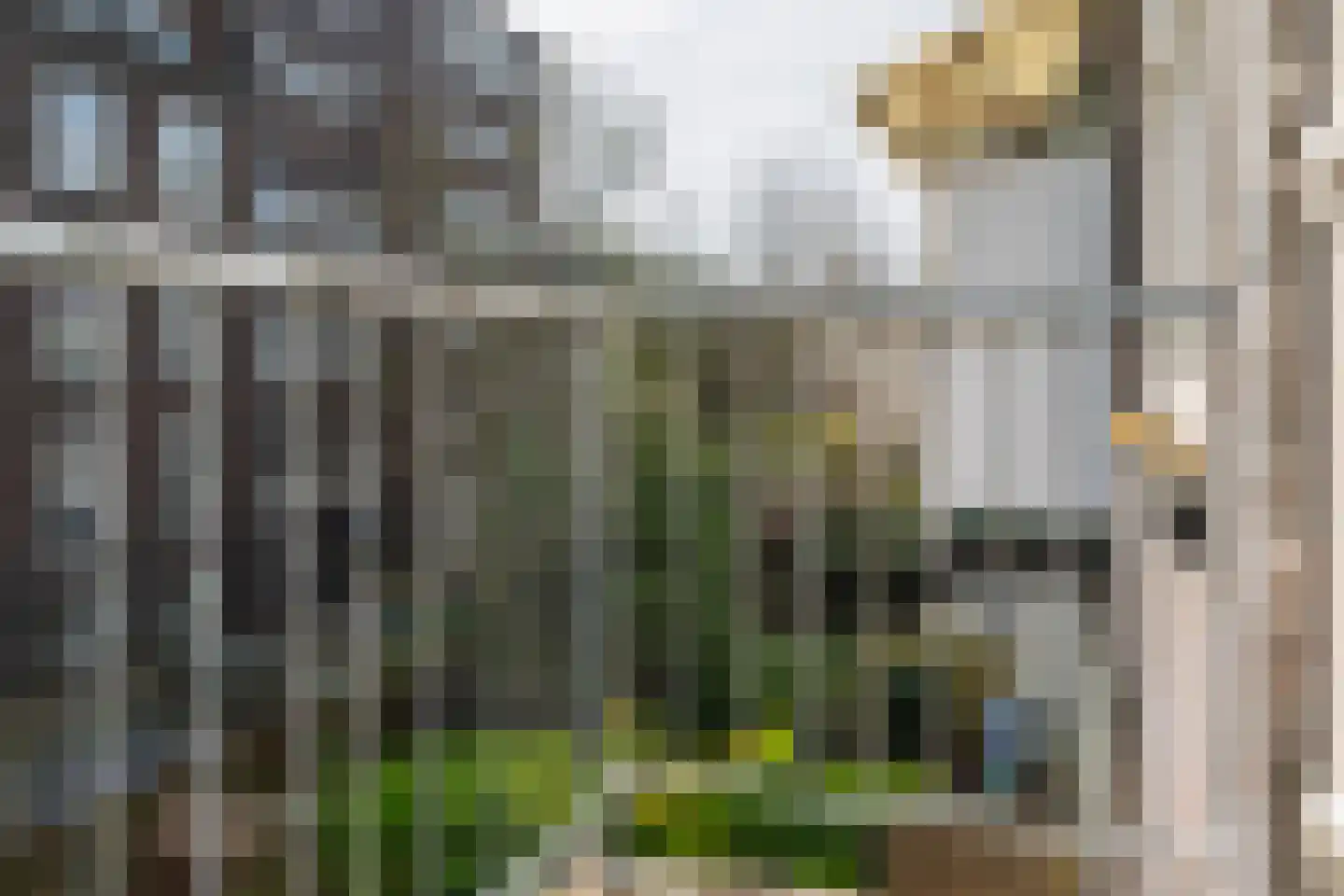 Beatrijsstraat 38 A Rotterdam thumbnail 8