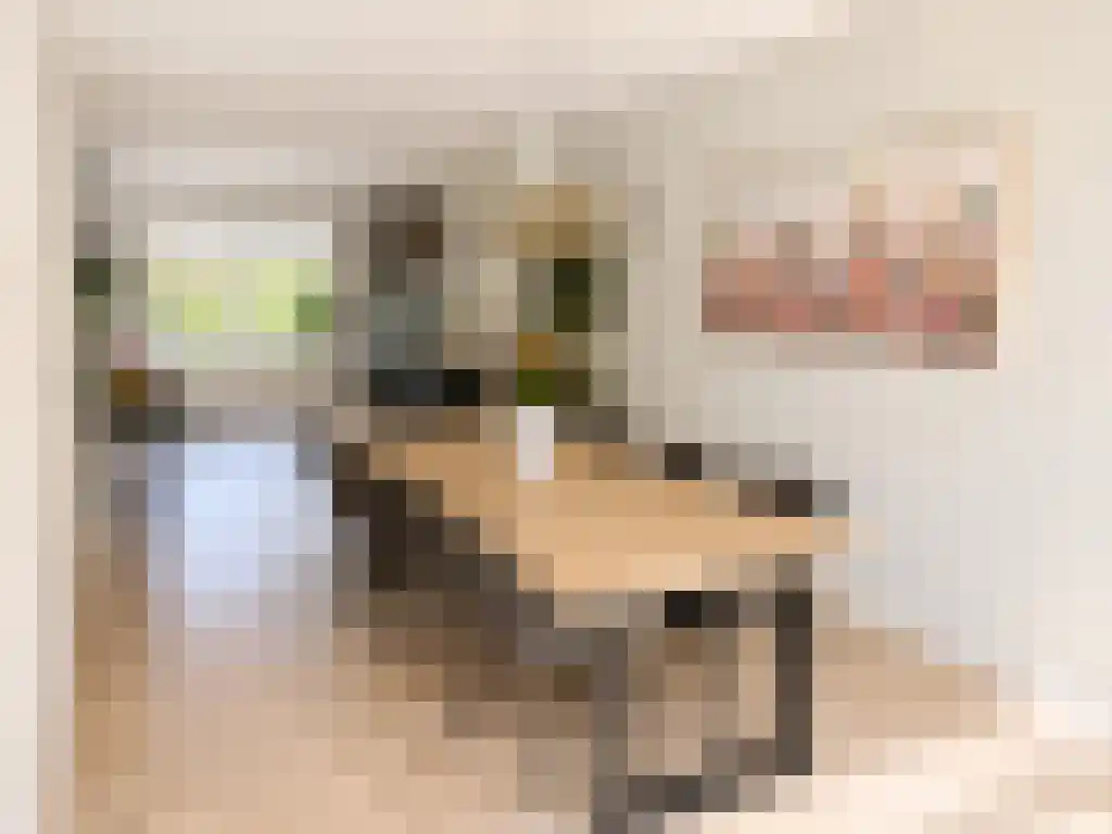 Beatrijsstraat 40 Rotterdam thumbnail 5