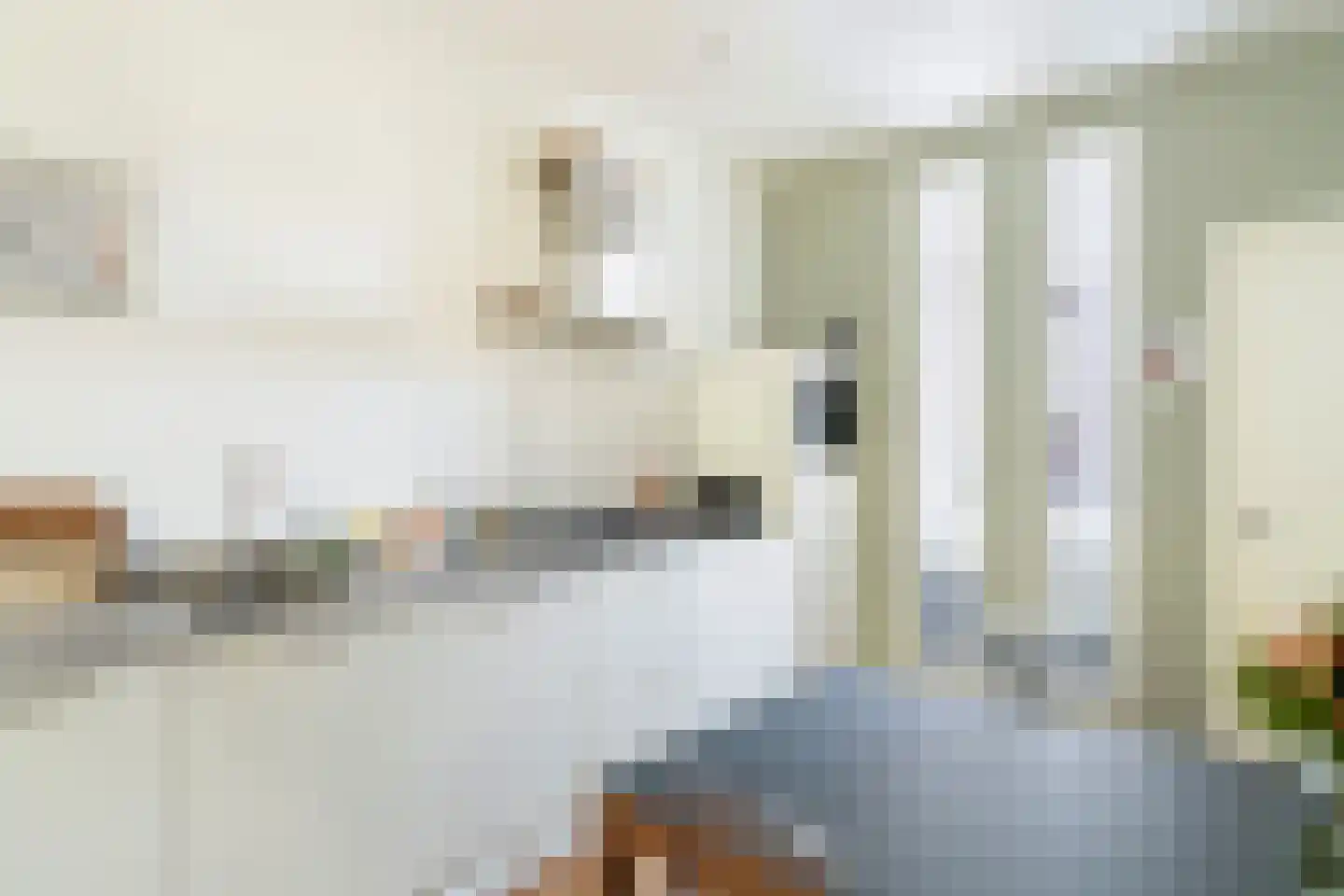 Beatrijsstraat 6 B 03 Rotterdam thumbnail 16