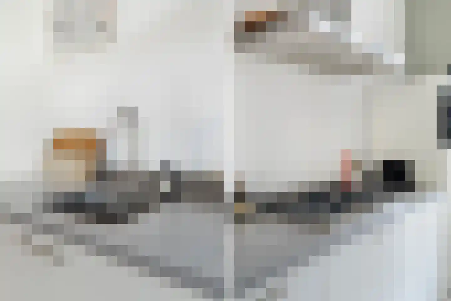 Beatrijsstraat 6 B 03 Rotterdam thumbnail 17