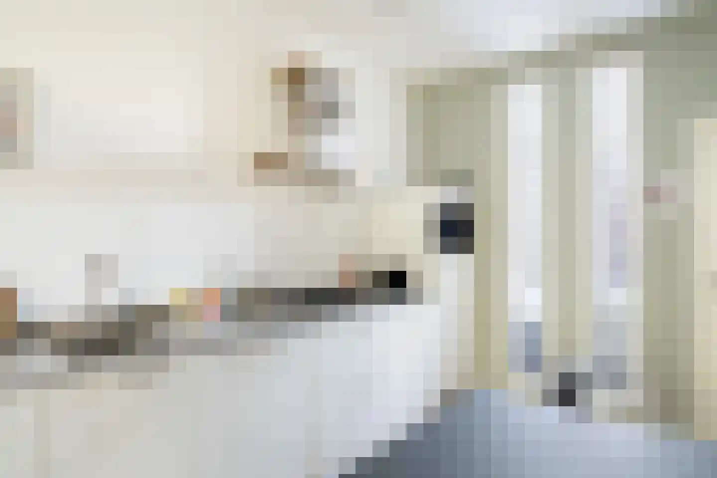 Beatrijsstraat 6 B 03 Rotterdam thumbnail 20