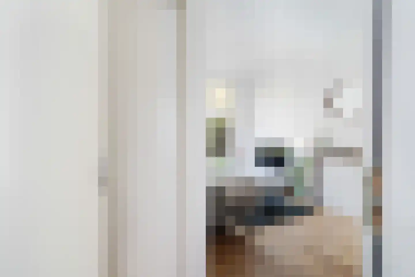 Beatrijsstraat 6 B 03 Rotterdam thumbnail 30