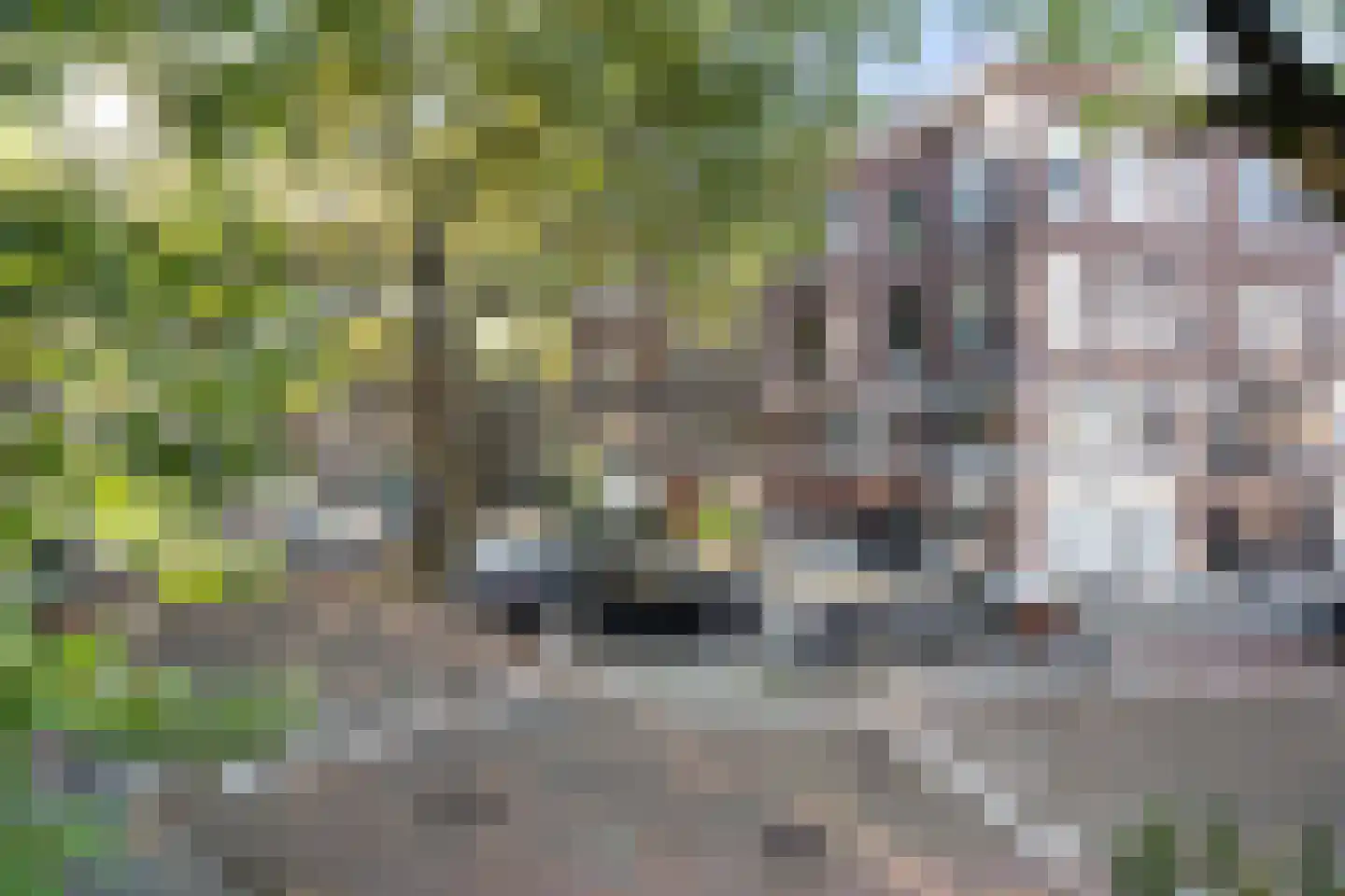 Beatrijsstraat 6 B 03 Rotterdam thumbnail 32