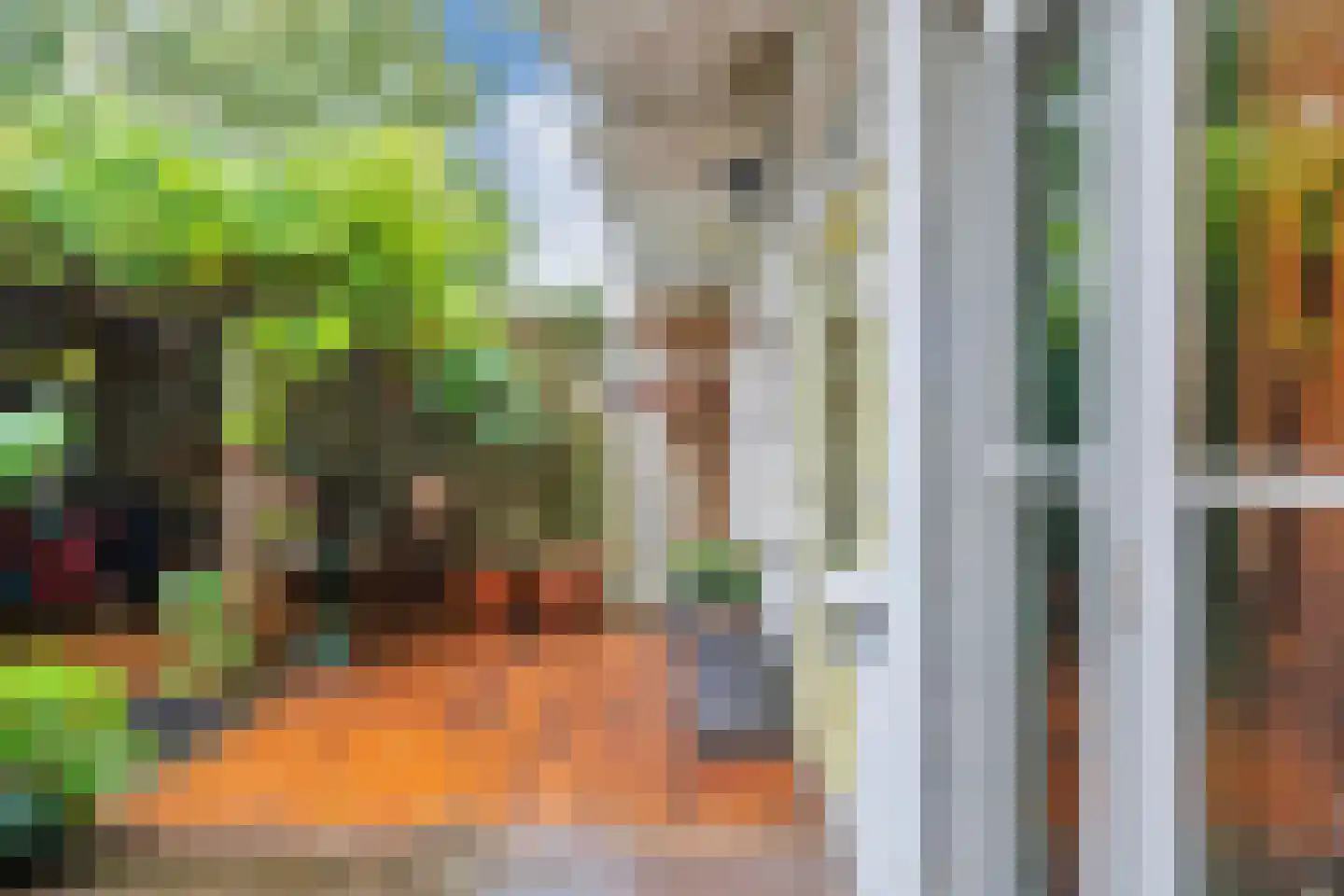 Beatrijsstraat 67 Den Haag thumbnail 19