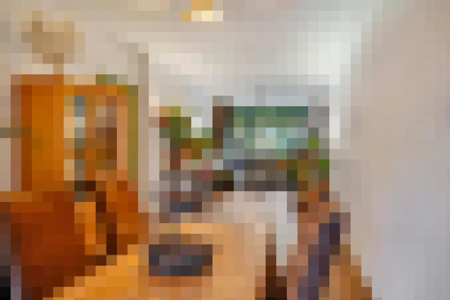 Beatrijsstraat 67 Den Haag thumbnail 22